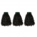 Double Drawn Curly (Pissy A) Virgin Human Hair Bundles With 4x4 Lace Closure