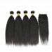 Virgin Hair Kinky Straight Bundles With 4x4 Transparent/HD Lace Closure