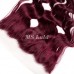 Body Wave #99J Virgin Human Hair 4x4 13x4 Transparent Lace Closure/Frontal