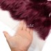 Body Wave #99J Virgin Human Hair 4x4 13x4 Transparent Lace Closure/Frontal