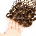Water Wave #4/27 Highlight Virgin Human Hair 4x4 13x4 Transparent Lace Closure/Frontal