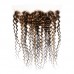 Deep Wave #4/27 Highlight Virgin Human Hair 4x4 13x4 Transparent Lace Closure/Frontal