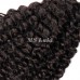Virgin Hair Italy Curl Bundles With 1 Lace Closure