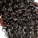 Virgin Water Wave Hair Bundles With 1 Lace Closure