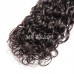 Virgin Water Wave Hair Bundles With 1 Lace Closure