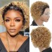 Human Hair Curly Wig T Part Pixie Cut Wigs