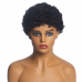 Afro Kinky Curl Natural Color Pixie Cut Human Hair Wig Machine-made Wig for Women