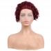 Human Hair Curly Wig T Part Pixie Cut Wigs