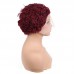 Human Hair Curly Wig T Part Pixie Cut Wigs