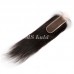 2x6 Virgin Hair Straight HD/Transparent Lace Closure