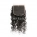 Virgin Water Wave Hair Bundles With 5x5 Transparent/HD Lace Closure
