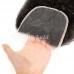 Virgin Kinky Straight Hair Bundles With 5x5 Transparent/HD Lace Closure