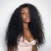 Virgin Human Hair Afro Kinky Curly Lace Front Virgin Hair Wigs