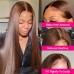 #2 Chestnut Brown Straight Transparent Lace 13x4 Full Frontal Human Hair Wig