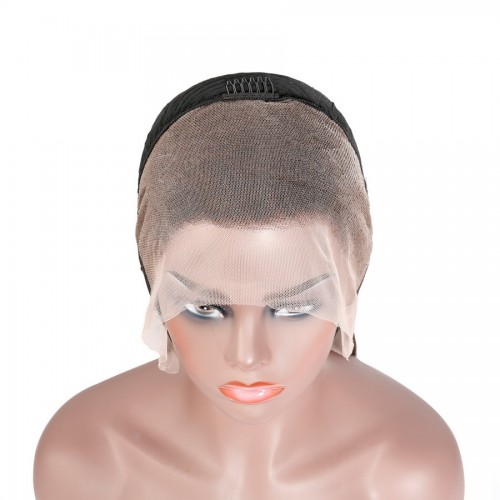 #4/#6 Straight Transparent Lace 13x4 Full Frontal Human Hair Wig | Human Hair Wig | Lace Front