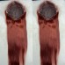 #33 Reddish Brown 13x4 Transparent Lace Front Straight Season Vibe Wig