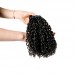 Curly (Pissy B) Virgin Human Hair Double Drawn Bundles