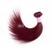 #8/#27/99J Colored Straight Brazilian Virgin Human Hair Bundles