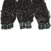 Water Wave Virgin Human Hair Double Drawn Bundles