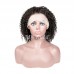 Kinky Curly Transparent Full Lace Wig Virgin Human Hair Wigs